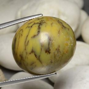Agata dendritica naturale multicolore da 35,24 ct, taglio ovale, opaco