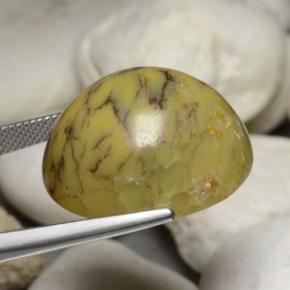 Agata dendritica naturale multicolore da 35,24 ct, taglio ovale, opaco