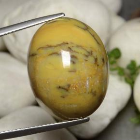 Agata dendritica Multicolore naturale da 27.27 ct, Taglio ovale, Opaco