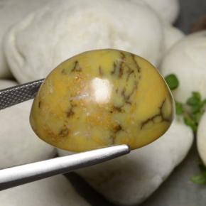 Agata dendritica Multicolore naturale da 27.27 ct, Taglio ovale, Opaco