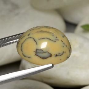 Agata dendritica Multicolore naturale da 6.05 ct, Taglio ovale, Opaco