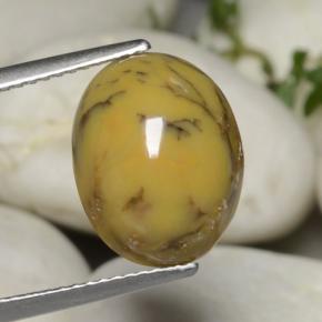 Agata dendritica naturale multicolore da 5,40 ct, taglio ovale, opaco