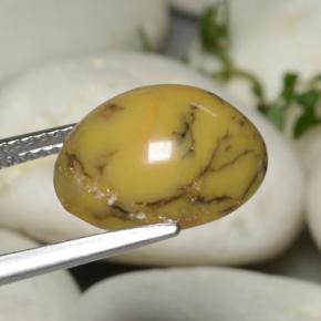 Agata dendritica naturale multicolore da 5,40 ct, taglio ovale, opaco