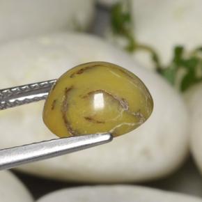 Agata dendritica naturale multicolore da 2,63 ct, taglio ovale, opaco