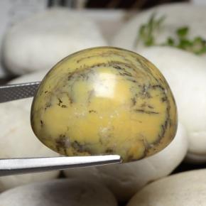 Agata dendritica Multicolore naturale da 44.92 ct, Taglio ovale, Opaco