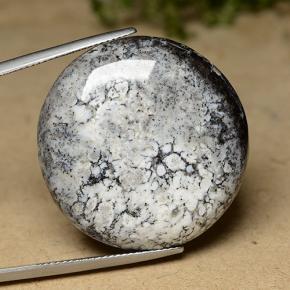 Agata dendritica naturale multicolore da 44,26 ct, taglio rotondo, opaco