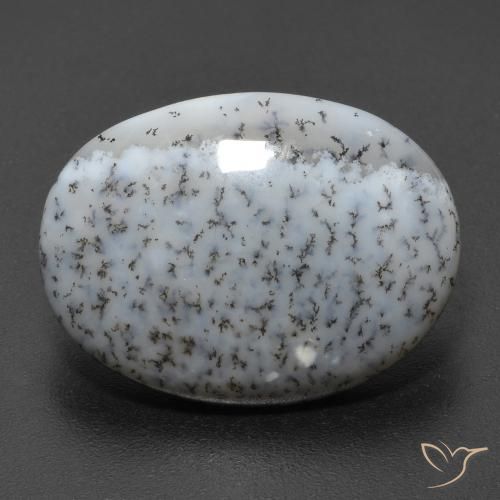 11.20ct Naturale Multicolore Agata dendritica, Ovale, Opaco