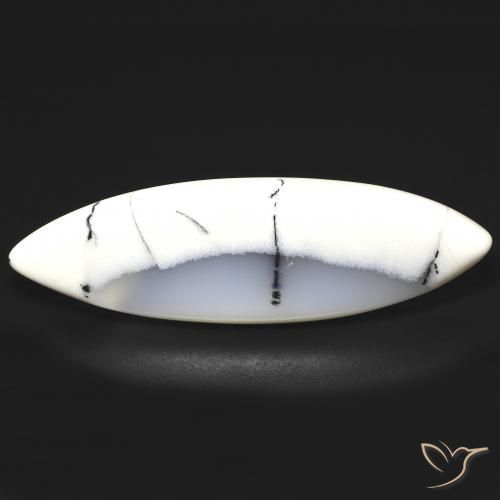 Agata dendritica bianco con nero naturale da 19.93 ct, Taglio marquise, Traslucido