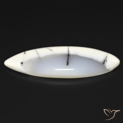 Agata dendritica bianco con nero naturale da 19.93 ct, Taglio marquise, Traslucido