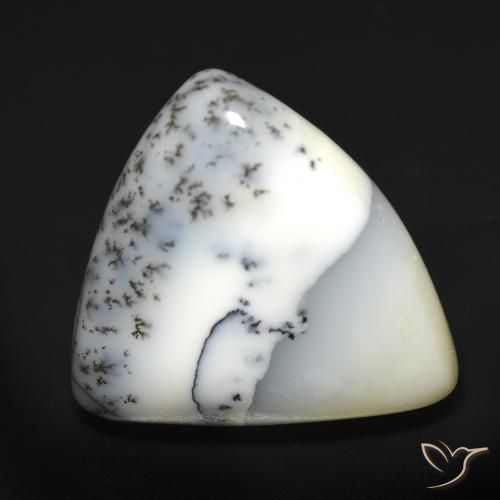 12.51ct Naturale bianco con nero Agata dendritica, Taglio trillion, Traslucido