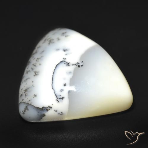 Agata dendritica bianco con nero naturale da 12.51 ct, Taglio trillion, Traslucido