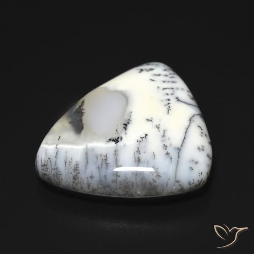 Agata dendritica bianco con nero naturale da 9.21 ct, Taglio trillion, Opaco