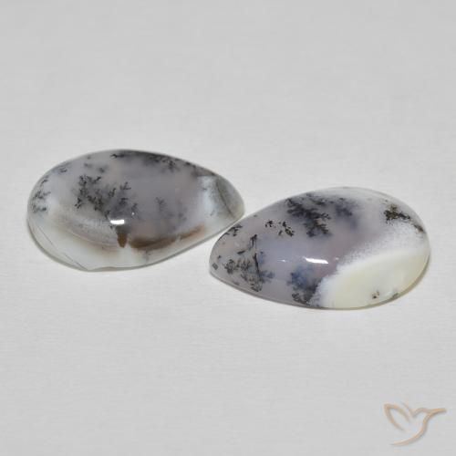 Gemme di Agata dendritica bianco con nero naturale da 15.51 ct, Forma a pera, Opaco