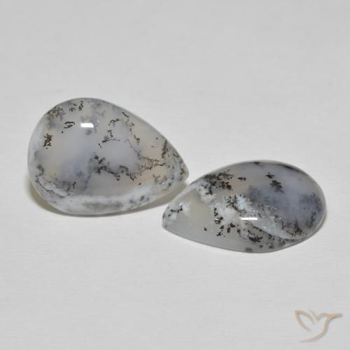 Gemme di Agata dendritica bianco con nero naturale da 16.57 ct, Forma a pera, Opaco