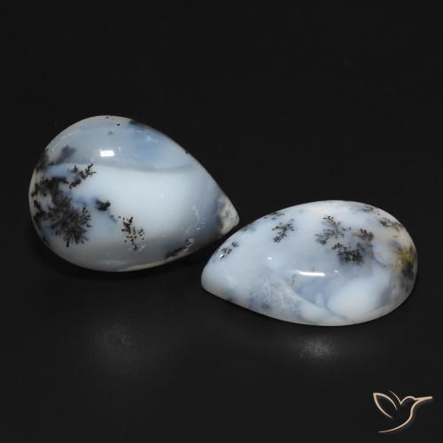 Gemme di Agata dendritica bianco con nero naturale da 20.01 ct, Forma a pera, Opaco