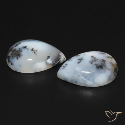 Gemme di Agata dendritica bianco con nero naturale da 20.01 ct, Forma a pera, Opaco