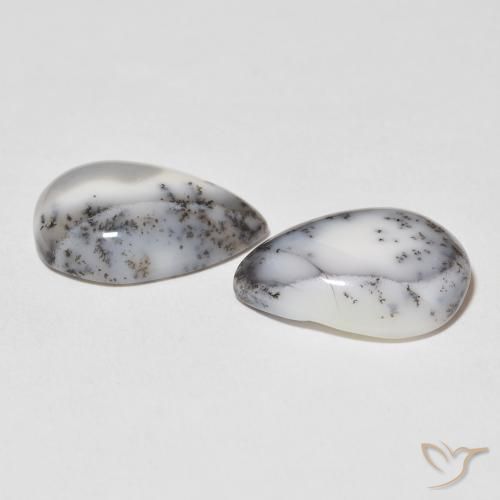 Gemme di Agata dendritica bianco con nero naturale da 16.40 ct, Forma a pera, Opaco