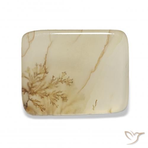 4.40ct Multicolore Agata dendritica, Cuscino, Trasparente