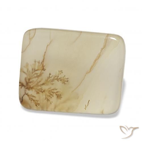Agata dendritica Multicolore naturale da 4.40 ct, Cuscino, Trasparente