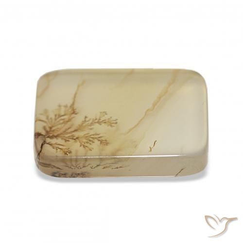 Agata dendritica Multicolore naturale da 4.40 ct, Cuscino, Trasparente