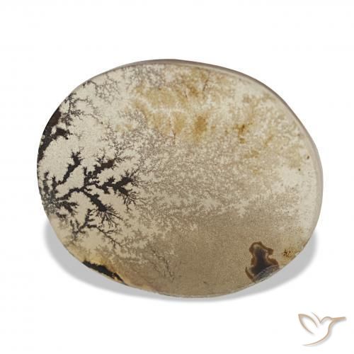 Agata dendritica Multicolore naturale da 3.38 ct, Ovale, Trasparente