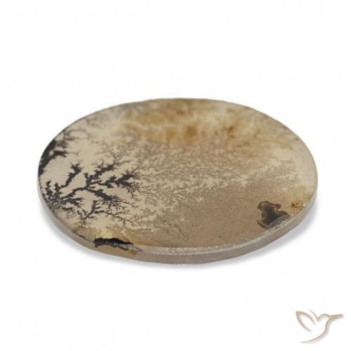 Agata dendritica Multicolore naturale da 3.38 ct, Ovale, Trasparente