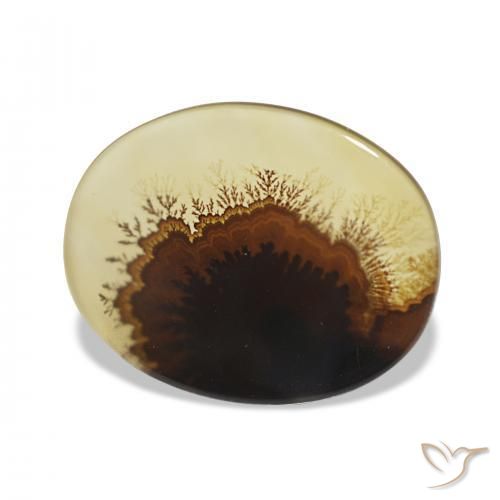 Agata dendritica Multicolore naturale da 2.46 ct, Ovale, Trasparente