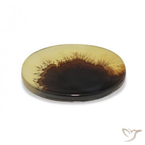 Agata dendritica Multicolore naturale da 2.46 ct, Ovale, Trasparente