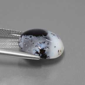 Calcedonio dendritico Multicolore naturale da 9.50 ct, Taglio rotondo, Traslucido