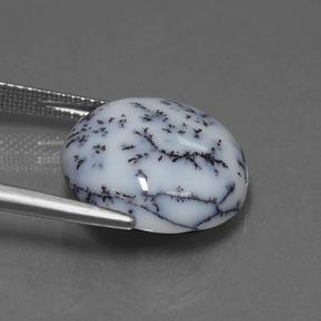 Calcedonio dendritico Multicolore naturale da 9.76 ct, Taglio rotondo, Opaco