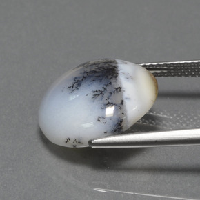 Calcedonio dendritico multicolore naturale da 7,74 ct, taglio rotondo, opaco