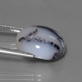 Calcedonio dendritico multicolore naturale da 11,38 ct, taglio rotondo, traslucido