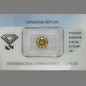 Diamante Elegante champagne naturale da 2.49 ct, Taglio rotondo, SI