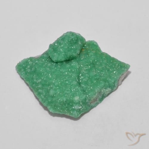 Druzy Variscite Verde intenso della felce naturale da 9.90 ct, Taglio a fantasia, Opaco