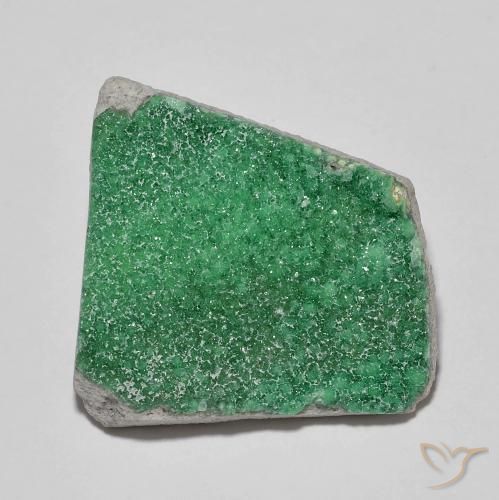Druzy Variscite Verde medio naturale da 11.83 ct, Taglio a fantasia, Opaco