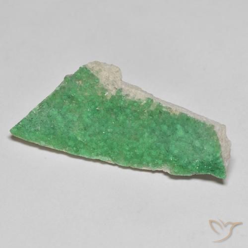 Druzy Variscite Verde intenso della felce naturale da 6.91 ct, Taglio a fantasia, Opaco