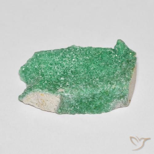 Druzy Variscite Trifoglio Verde naturale da 8.15 ct, Taglio a fantasia, Opaco