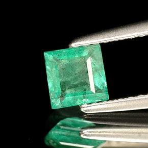 Smeraldo naturale verde da 0,49 ct, quadrato, SI-I1