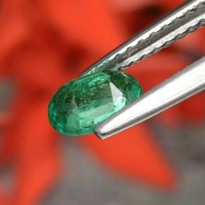 Smeraldo naturale verde da 0,48 ct, taglio ovale, SI-I1