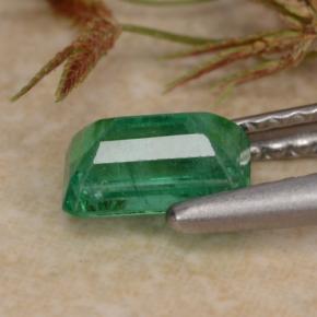 Smeraldo naturale verde da 0,63 ct, taglio smeraldo, SI-I1