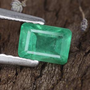 Smeraldo naturale verde da 0,68 ct, taglio smeraldo, SI-I1