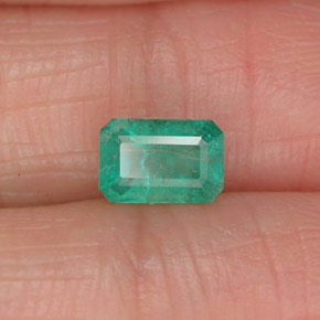 Smeraldo naturale verde da 0,61 ct, taglio smeraldo, SI-I1