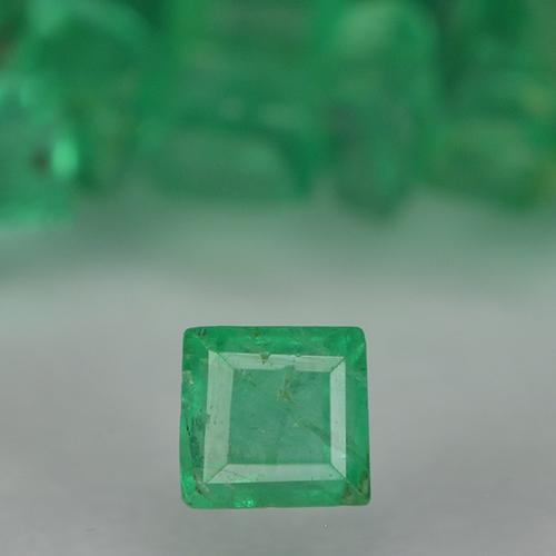 Gemme di Smeraldo Verde medio naturale da 1.37 ct, Quadrato, VS-SI