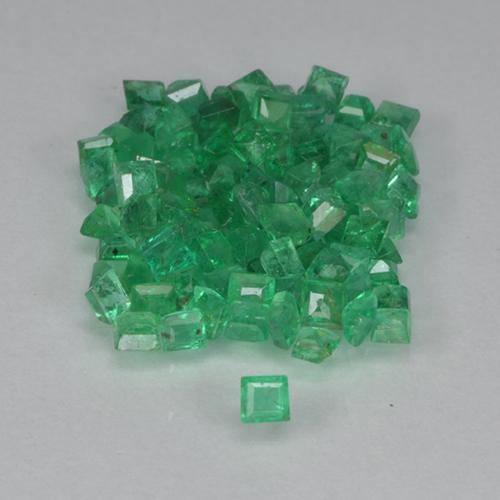 Gemme di Smeraldo Verde medio naturale da 1.37 ct, Quadrato, VS-SI
