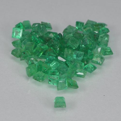 Gemme di Smeraldo Verde medio naturale da 1.37 ct, Quadrato, VS-SI