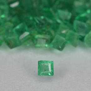 Gemme di Smeraldo Verde caldo naturale da 1.39 ct, Quadrato, VS-SI