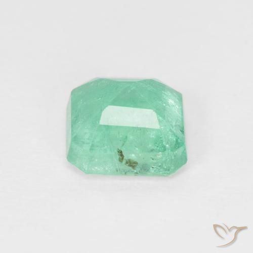 Smeraldo Menta verde naturale da 0.87 ct, Ottagonale / Taglio smeraldo, SI