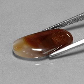 Agata di fuoco naturale multicolore da 6,66 ct, trasparente, trasparente/traslucido