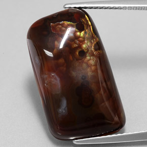 Agata di fuoco naturale multicolore da 15,26 ct, forma fantasia, opaco