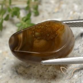 Agata di fuoco Multicolore naturale da 6.92 ct, Taglio a fantasia, Traslucido